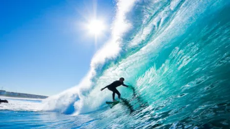 Better-connected Kiwis surfing at home