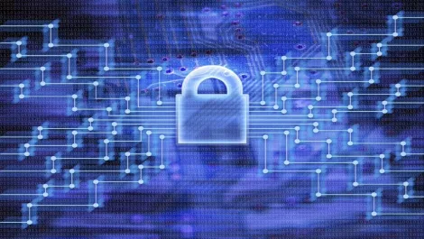 Wellington Council privacy breach - FAQ