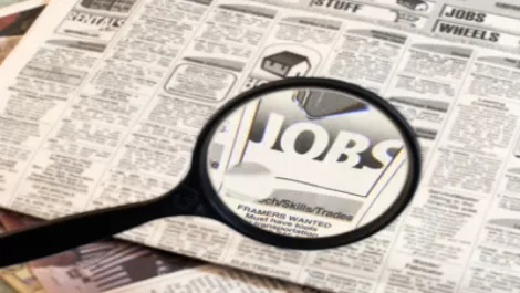 Jobsearcha