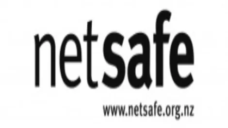 Netsafe logo