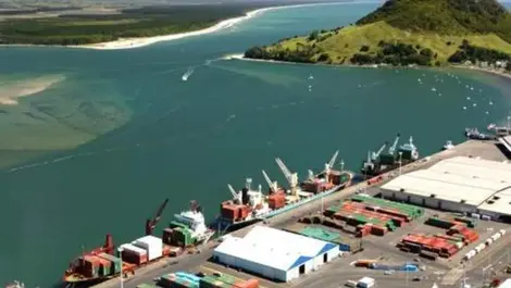 Call for review of toxic gas at ports