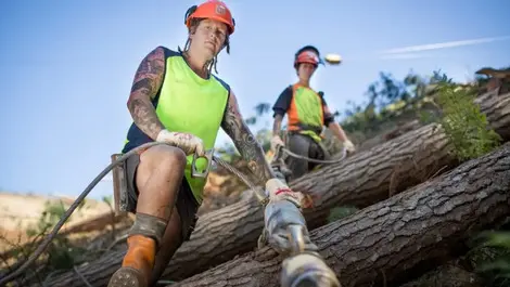 Discounted counselling services for forestry workers