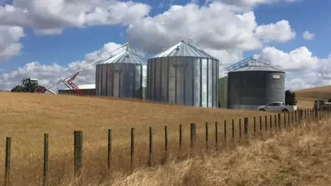 Dangers of entering grain silos underestimated