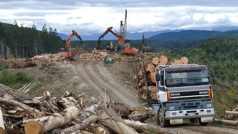 Reflections on the first year in the job