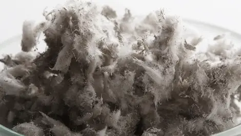 Asbestos removal not just a risk for the worker