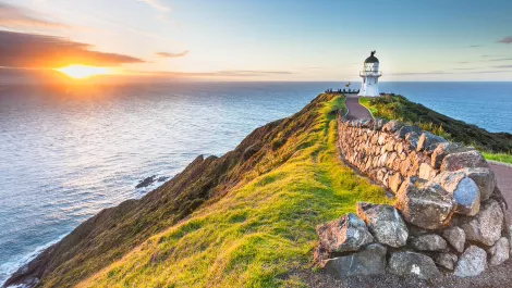 R&D Tax Incentive a welcome boost for tourism sector - TECNZ